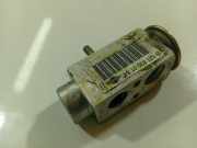 Expansionsventil für Klimaanlage Mercedes-Benz A-CLASS, W169, 2004.09 - 2008.09 1718300184,1718300184