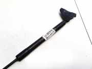 Gasdruckfeder Kofferraum Citroen DS3, I 2009.01 - 2016.06 9687550980,