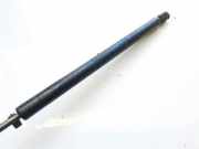 Gasdruckfeder Kofferraum Ford Focus, 1998.10 - 2002.10 xs41a406a10ae, xs41-a406a10-ae
