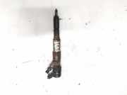 Einspritzdüse BMW 5-Series, E39 1995.11 - 2003.06 Gebraucht,