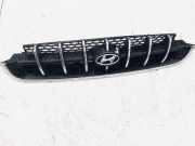 K?hlergrill Frontgrill K?hlergitter Hyundai Atos 1998 - 2003 Gebraucht,