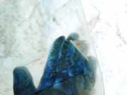 Seitenscheibe - Vorne Linke Mitsubishi Outlander, II 2006.01 - 2013.01 as2,