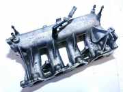 Ansaugkrümmer Renault Vel Satis, 2002.06 - 2009.12 8200055543,d2961