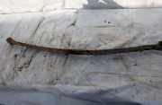 Blattfeder Hinten Renault Master, II 2003.01 - 2010.01 facelift Gebraucht,