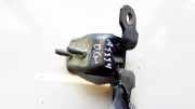 Türscharnier Hinten Renault Vel Satis, 2002.06 - 2009.12 Gebraucht,