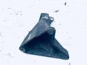 Motorhalterung und Getriebe (Motorhalterung) Audi A6, C5 2001.08 - 2005.01 facelift 8d0199308ab,