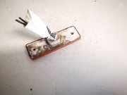 Reflektor Stossfänger - Hinten Rechts Iveco Daily, 2000.01 - 2005.12 e20020736,