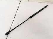 Gasdruckfeder Kofferraum Hyundai Santa Fe, 2000.11 - 2006.03 Gebraucht ,