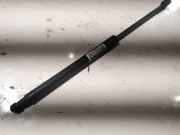 Gasdruckfeder Kofferraum Volkswagen Passat, B6 2005.08 - 2010.11 Gebraucht, BMP