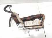 Abgaskühler AGR-Kühler Toyota Verso, 2009.04 - 2018 256010R020,25601-0R020 1306-413-0000