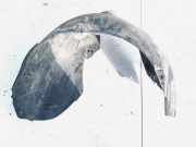 Radhausschale - Vorne Linke Ford Focus, 2004.11 - 2008.06 Gebraucht,