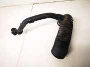 Schlauch f?r Luftversorgung Volkswagen Passat, B5 1996.08 - 2000.11 8d0129615c,