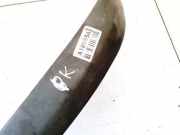 Zier-Schutzleistensatz für Stoßfänger - Vorne Linke Mazda Premacy, 1999.01 - 2005.03 C10050B51,C100-50B51 C10050B51