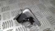 Türscharnier Hinten Renault Megane, III 2008.11 - 2012.06 804000016PF,A073550