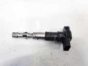 Zündspule Volkswagen Touareg, 2002.10 - 2007.09 077905115AA,78427001 AXQ