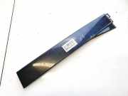 Schutzleiste Tür - Hinten Linke Volkswagen Passat, B5+ 2000.11 - 2005.05 Gebraucht, BGW