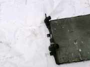 Wasserk?hler Skoda Octavia, II 2004.02 - 2009.03 Gebraucht,