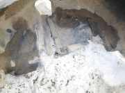 Radhausschale - Hinten Rechts Volkswagen Golf, IV 1997.08 - 2003.10 Gebraucht,