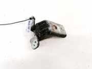 Türscharnier Hinten Jaguar S-Type, 1999.01 - 2002.04 215GBA9A,
