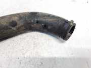 K?hlerschlauch Mitsubishi Endeavor 2004 - 2011 Gebraucht,