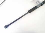 Gasfeder für Motorhaube BMW 5-Series, E39 1995.11 - 2003.06 Gebraucht,