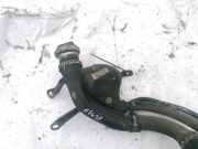 Tankeinfüllstutzen Tankrohr Kraftstoffrohr Mercedes-Benz W203, 2000.05 - 2004.02 A20347020,