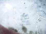 Seitenscheibe - Vorne Rechts Mercedes-Benz Vaneo 2002 - 2005 Gebraucht,