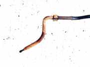 Stabilisator Vorne Volkswagen LT, 1996.06 - 2006.12 Gebraucht,