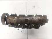 Zylinderkopf Nissan Primera, P12 2002.01 - 2008.12 1905040747a,