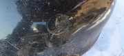 Abdeckung Abschlepphaken - Hinten Mercedes-Benz A-CLASS, W168, 1997.07 - 2001.06 Gebraucht,