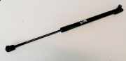 Gasdruckfeder Kofferraum Mitsubishi Outlander, I 2003.01 - 2006.12 Gebraucht ,