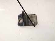 Türscharnier Vorne Audi A6, C5 2001.08 - 2005.01 facelift Gebraucht,