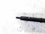 Einspritzd?se Nissan Almera Tino 2000.08 - 2003.09 484391,0y18484391