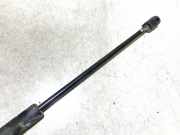 Gasdruckfeder Kofferraum Ford Mondeo, 2000.11 - 2007.03 Gebraucht,