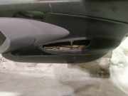 Türverkleidung - Vorne Rechts Nissan Primera, P12 2002.01 - 2008.12 Gebraucht,