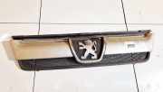 Kühlergrill Frontgrill Kühlergitter Peugeot Boxer, 2002.04 - 2006.04 facelift 1304703070, st3162