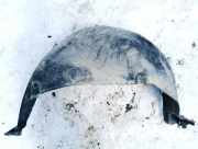 Radhausschale - Hinten Linke Peugeot Partner, II 2009.06 - 2015.06 9680450380,900403200