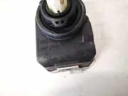 Motor Leuchtweitenregulierung Opel Signum, 2003.05 - 2008.06 00787806, 007878-06