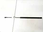 Gasdruckfeder Kofferraum Toyota Aygo, 2005.07 - 2009.12 689500h010,68950-0h010 3995sf