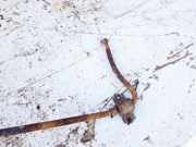 Stabilisator Stabi Hinten Hinterachse Hyundai Matrix, 2001.01 - 2010.08 Gebraucht,