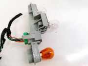 Lampenträger Heckleuchte - Hinten Volvo C30, I 2006.01 - 2010.01 Gebraucht,