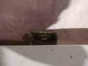 Lang Heckklappe Scharniere Scharnier Links Fiat Punto, 2005.10 - 2012.03 Gebraucht,