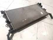 Wasserkühler Renault Laguna, III 2007.10 - 2010.11 Gebraucht,