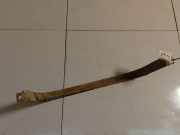 Halteband Kraftstoffbeh?lter Seat Altea, 2004.01 - 2015.12 Gebraucht,