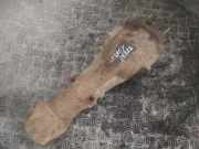 Differential Hinterachsgetriebe Subaru Legacy, BE, BH, BT 1998.10 - 2003.09 Gebraucht,