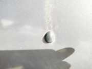 Waschwasserd?se Scheibenreinigung Renault Scenic, I 1996.01 - 1999.09 Gebraucht,