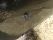 Waschwasserdüse Scheibenreinigung Toyota Avensis, II 2003.04 - 2006.03 Gebraucht,