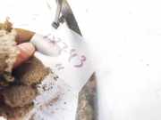 Stabilisator Vorne Toyota Proace 2013 - 2016 Gebraucht,