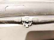 Waschwasserdüse Scheibenreinigung Opel Signum, 2003.05 - 2008.06 Gebraucht,