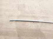 Dachreling Linke Audi A6, C6 2005.01 - 2008.10 Gebraucht,